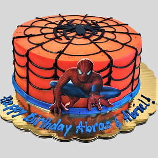 Spider Man Front