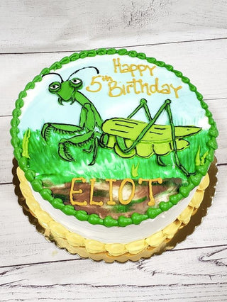 Insect Mantis
