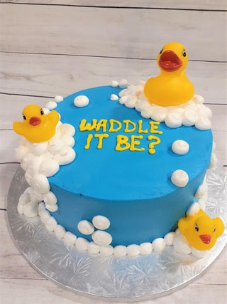 Duck Gender