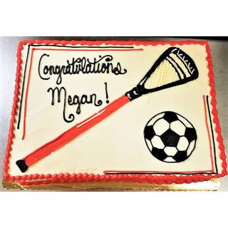 Lacrosse Stick