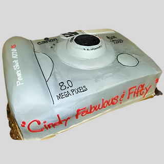 Camera Cutout