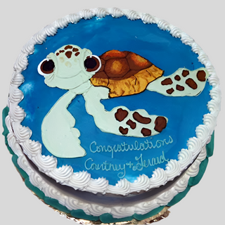 Nemo Turtle