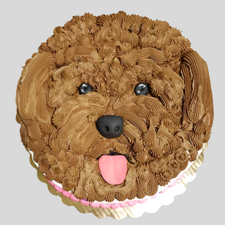 Dog Fluffy